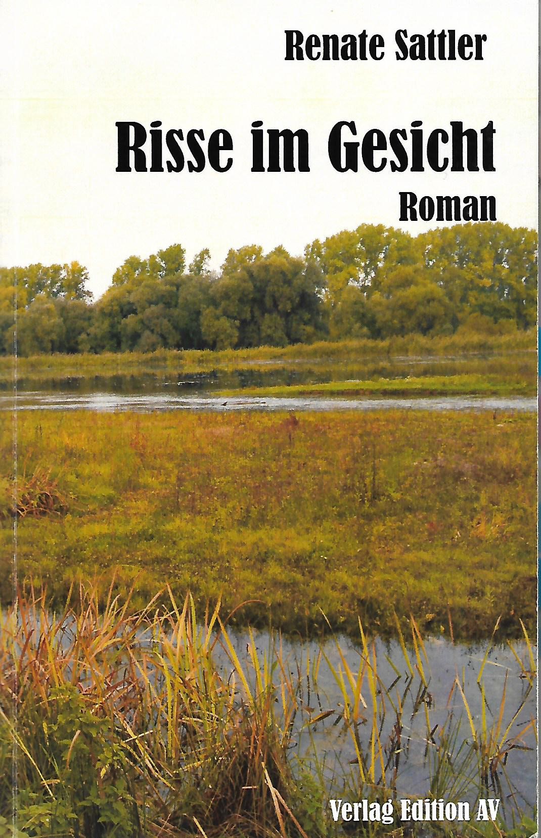 Cover Risse